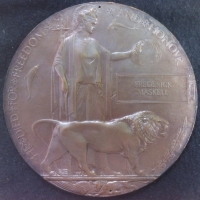 A CHOICE "TWO BROTHERS" ASSEMBLY. 1914 Star & Bar Trio & Plaque.To: 6/458. Rfmn.F. MASKELL. 3/Rifle Bd. Killed in Action 5th Feb 1916.(Age 19). &  Fireman & Donkeyman H.T. MASKELL. M.F.A.