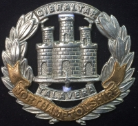 A Rare INDIAN GENERAL SERVICE MEDAL [PUNJAB FRONT