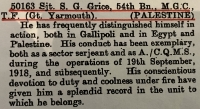 A Rare & Important (PALESTINE) “Battle of Sharon” DISTINGUISHED CONDUCT MEDAL. Sgt. S.G.GRICE. 54/ M.G.C. (Late 1/5 Norfolk Regt).Served Suvla Bay & Anzac Cove,Gallipoli. A survivor (“Vanished Battalion”)1/5 NORFOLK’s